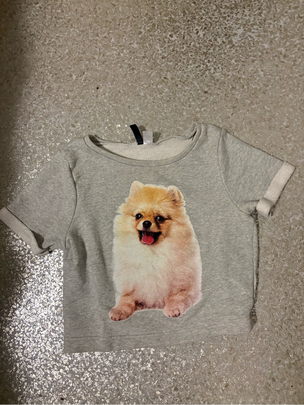 H&M Gray Tee with Cheerful Pomeranian Print